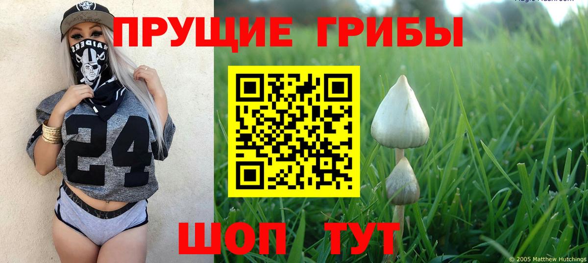 Каменск-Шахтинский  Псилоцибиновые грибы мухоморы  Вход с VPN 